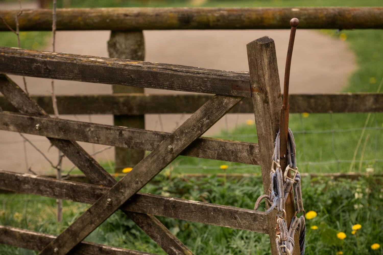 Featured image for blog post: How to Remove a Fence: A Complete Beginner’s Guide