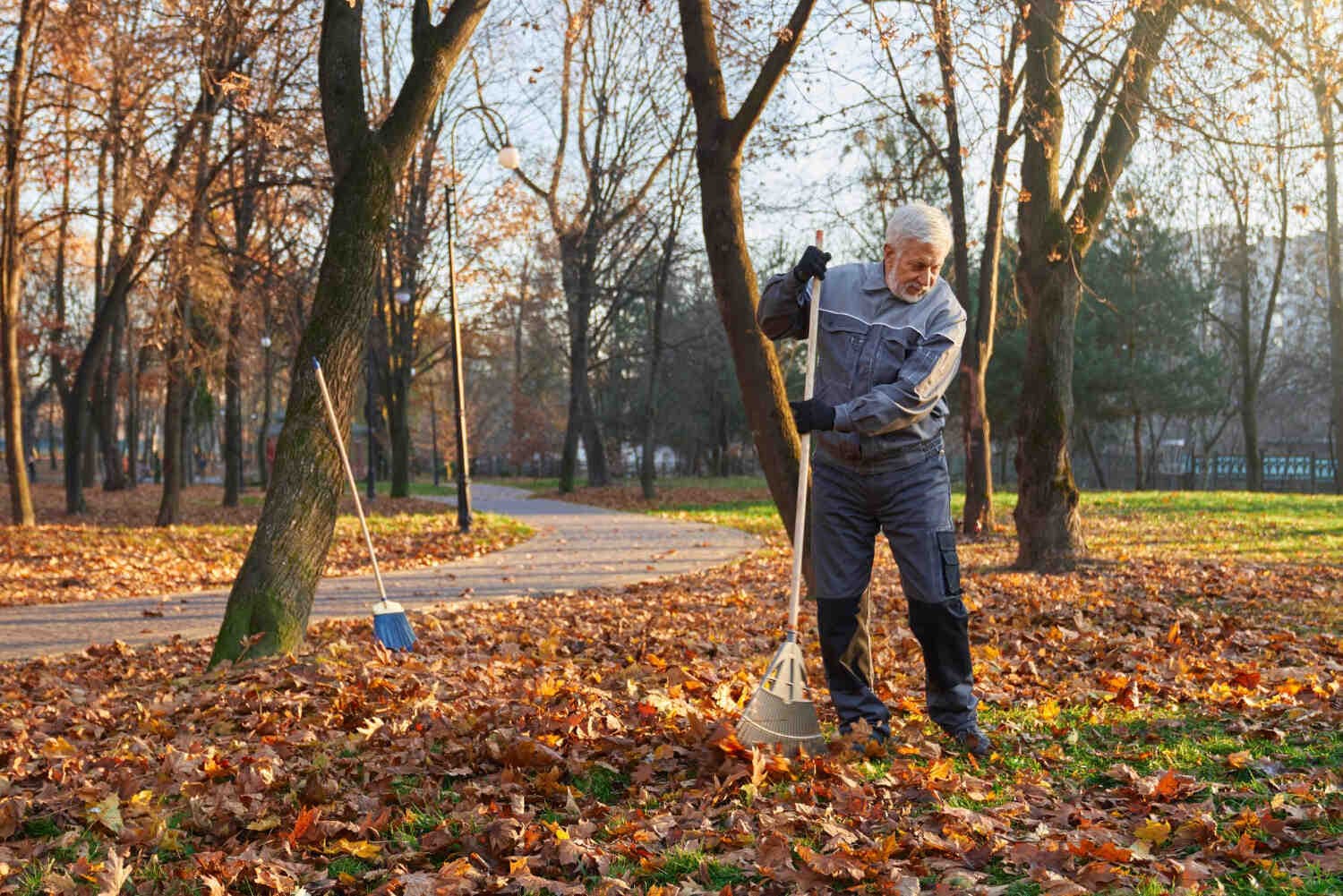 Featured image for blog post: Fall Yard Cleanup Checklist: 15 Must-Do Tasks Before Winter